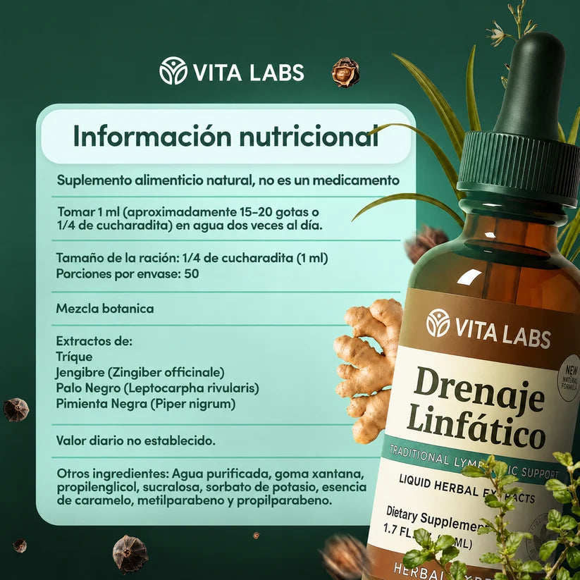 Drenaje Linfático (v2)