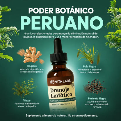 Drenaje Linfático (v2)